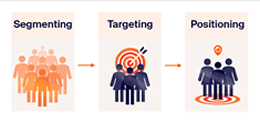 Target Audience and Market Positioning